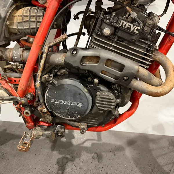 Left side of the engine. RFVC head, header pipe, countershaft cover. Everything is here, it just all needs attention.