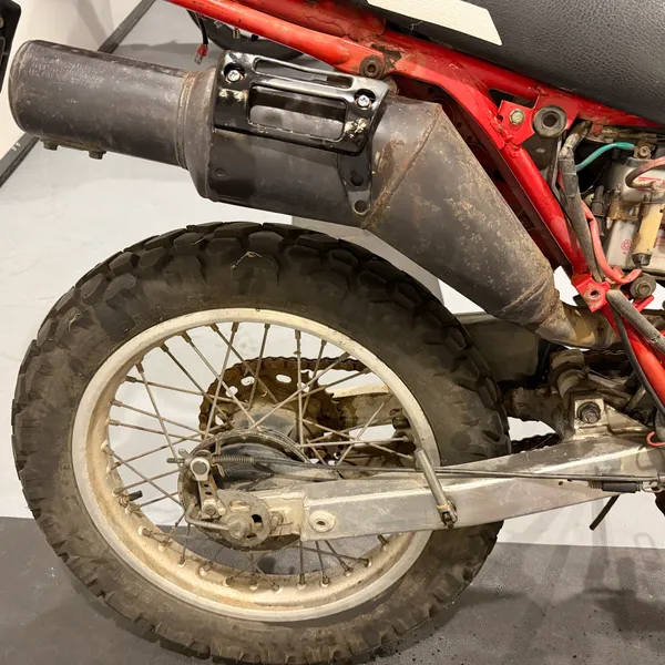 Rear wheel, muffler and swingarm. Muffler is intact, which on these bikes counts as good news.