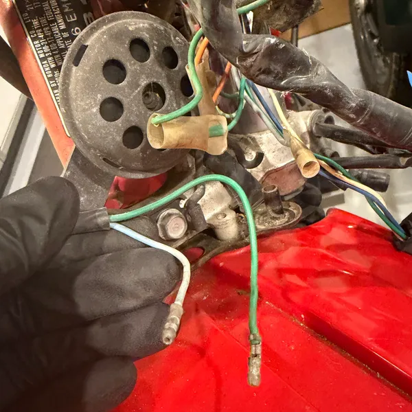 Horn from behind, with the green ground wire and ring terminal unbolted. The perforated disc is the horn body.