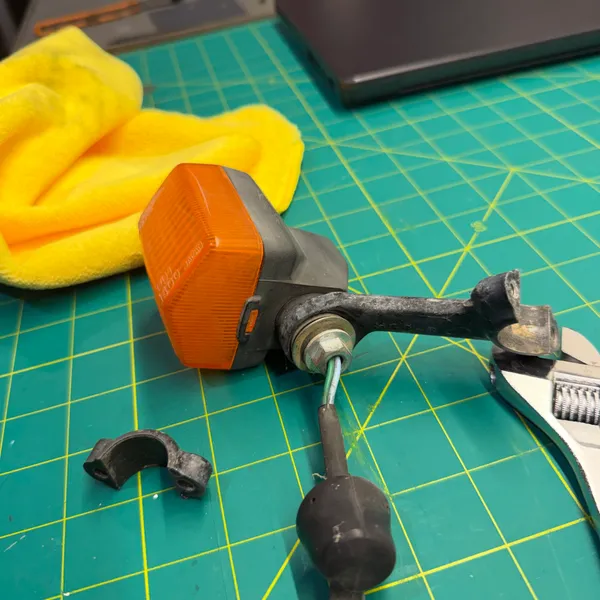 Signal from the back showing the stalk base and the wire exit.