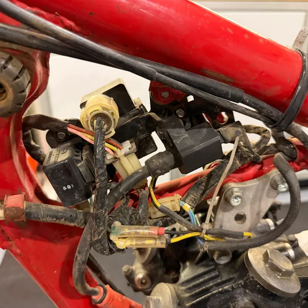 Harness and connectors at the front of the backbone: the ignition coil mount and the bundle of bullet connectors.