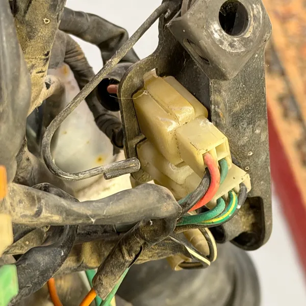 Closer on the horn connector and the wire bundle it sits in.