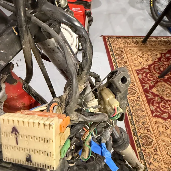 Whole front end wiring bundle with the big white connector block (the one with the arrow) on the left.