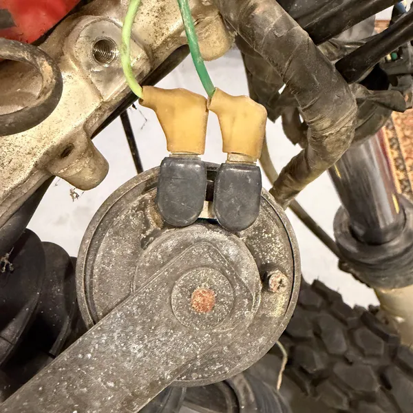 Horn from the front, two spade terminals on top, before it came off.